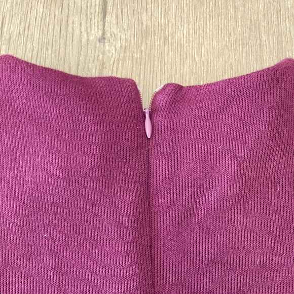 Zara Fitted Sweater Dress - Picture 4 of 4